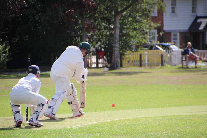 onlinecricketbetting